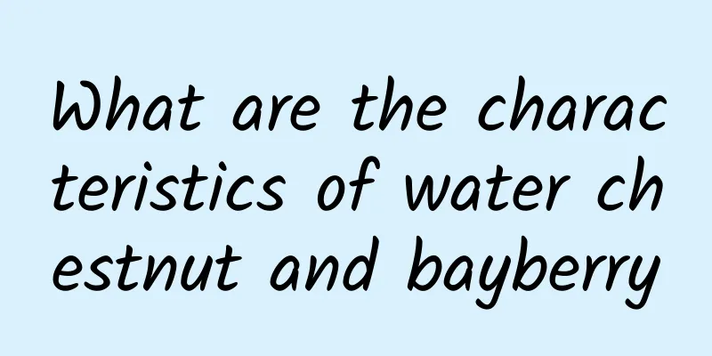What are the characteristics of water chestnut and bayberry