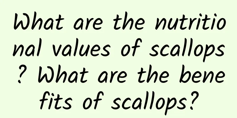 What are the nutritional values ​​of scallops? What are the benefits of scallops?