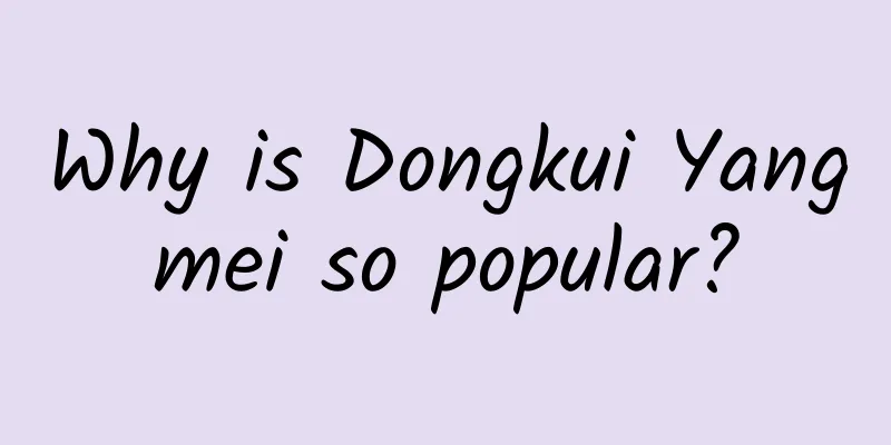 Why is Dongkui Yangmei so popular?