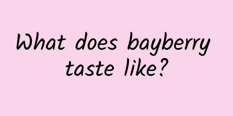 What does bayberry taste like?