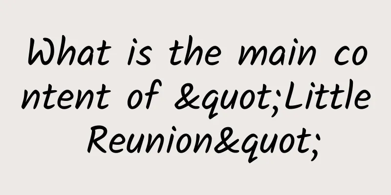 What is the main content of "Little Reunion"
