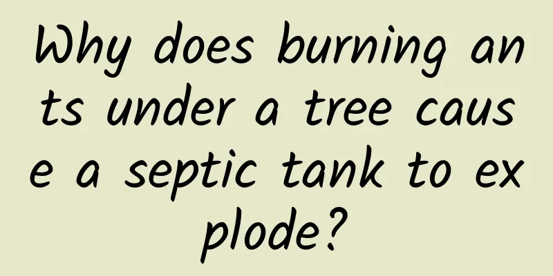 Why does burning ants under a tree cause a septic tank to explode?