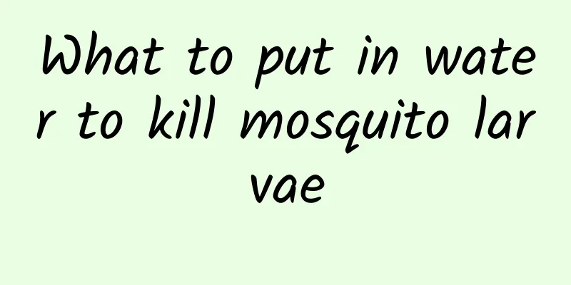 What to put in water to kill mosquito larvae