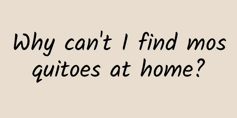 Why can't I find mosquitoes at home?