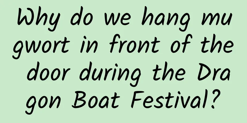 Why do we hang mugwort in front of the door during the Dragon Boat Festival?