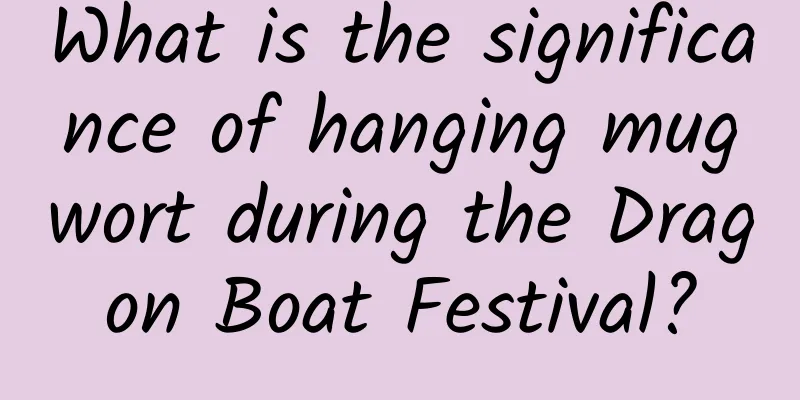 What is the significance of hanging mugwort during the Dragon Boat Festival?
