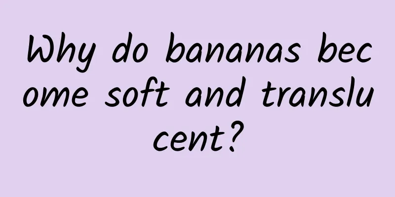 Why do bananas become soft and translucent?