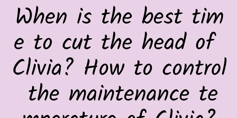When is the best time to cut the head of Clivia? How to control the maintenance temperature of Clivia?