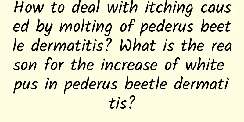How to deal with itching caused by molting of pederus beetle dermatitis? What is the reason for the increase of white pus in pederus beetle dermatitis?