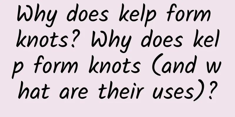 Why does kelp form knots? Why does kelp form knots (and what are their uses)?