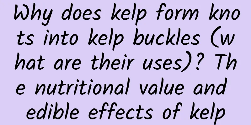 Why does kelp form knots into kelp buckles (what are their uses)? The nutritional value and edible effects of kelp