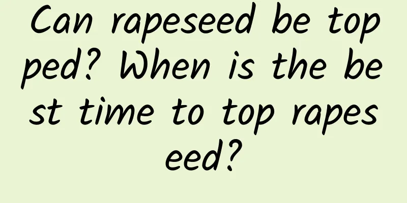 Can rapeseed be topped? When is the best time to top rapeseed?