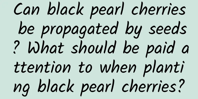 Can black pearl cherries be propagated by seeds? What should be paid attention to when planting black pearl cherries?