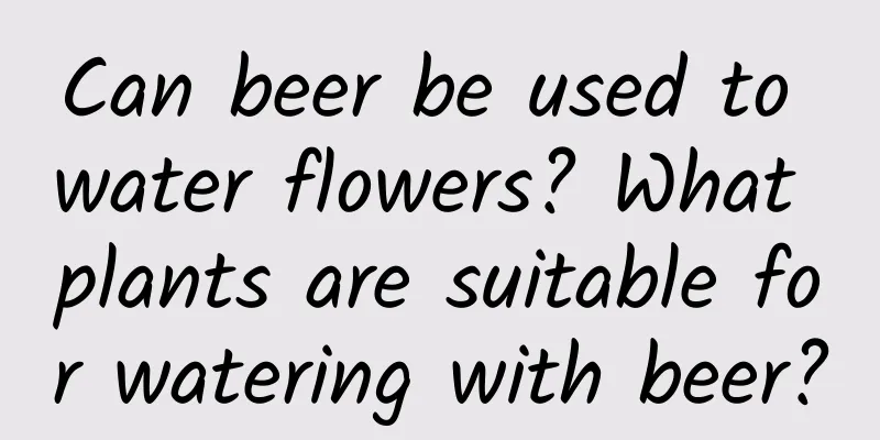 Can beer be used to water flowers? What plants are suitable for watering with beer?