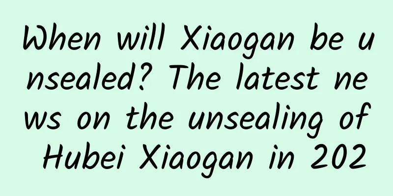 When will Xiaogan be unsealed? The latest news on the unsealing of Hubei Xiaogan in 2020