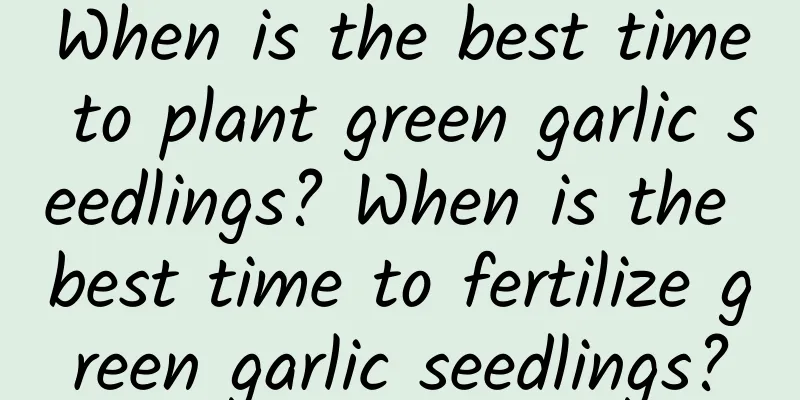 When is the best time to plant green garlic seedlings? When is the best time to fertilize green garlic seedlings?