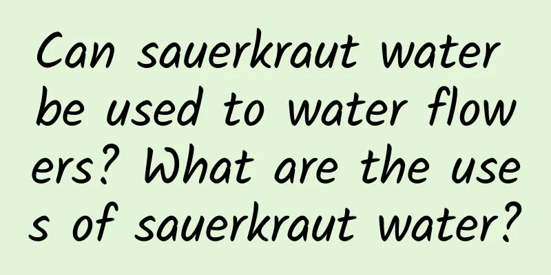 Can sauerkraut water be used to water flowers? What are the uses of sauerkraut water?