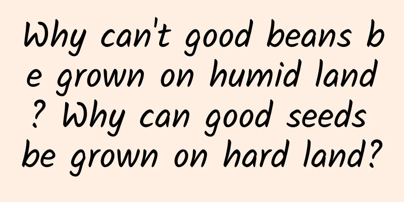 Why can't good beans be grown on humid land? Why can good seeds be grown on hard land?