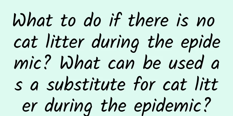 What to do if there is no cat litter during the epidemic? What can be used as a substitute for cat litter during the epidemic?