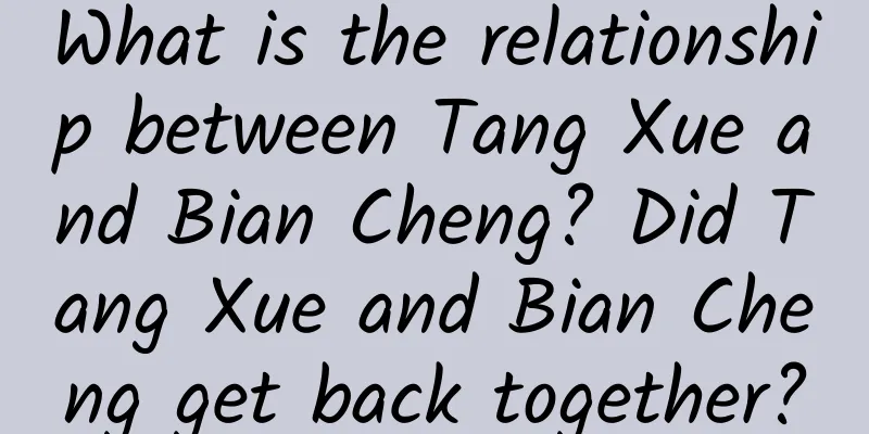 What is the relationship between Tang Xue and Bian Cheng? Did Tang Xue and Bian Cheng get back together?