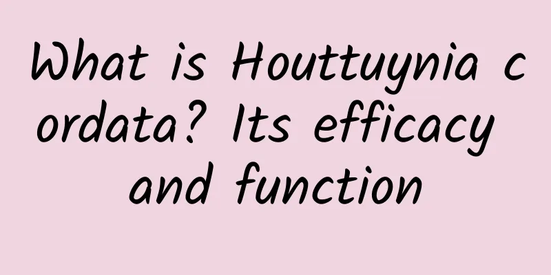 What is Houttuynia cordata? Its efficacy and function