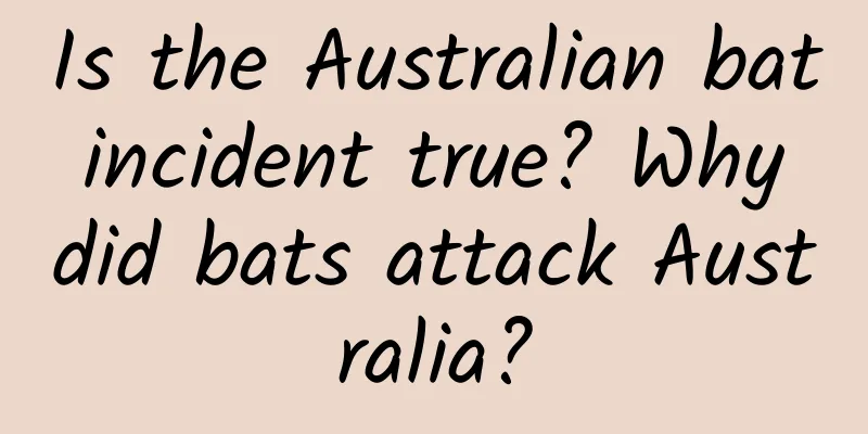 Is the Australian bat incident true? Why did bats attack Australia?
