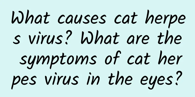 What causes cat herpes virus? What are the symptoms of cat herpes virus in the eyes?