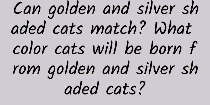 Can golden and silver shaded cats match? What color cats will be born from golden and silver shaded cats?