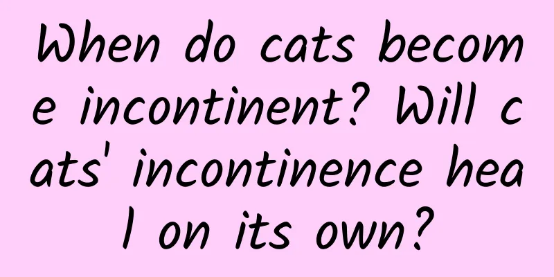 When do cats become incontinent? Will cats' incontinence heal on its own?