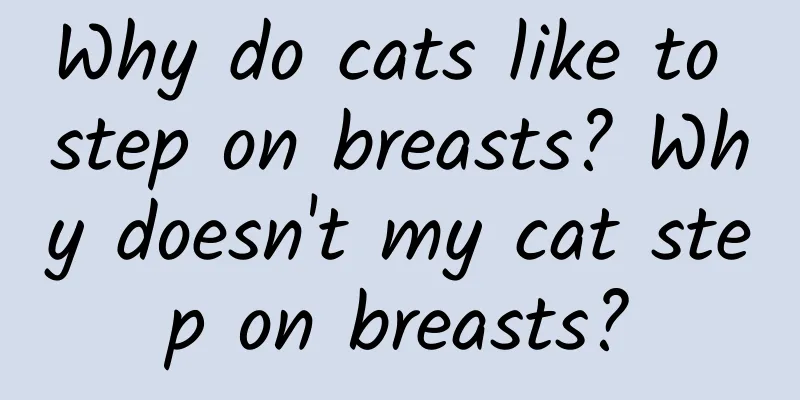 Why do cats like to step on breasts? Why doesn't my cat step on breasts?