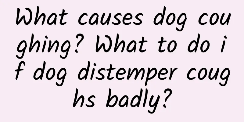 What causes dog coughing? What to do if dog distemper coughs badly?
