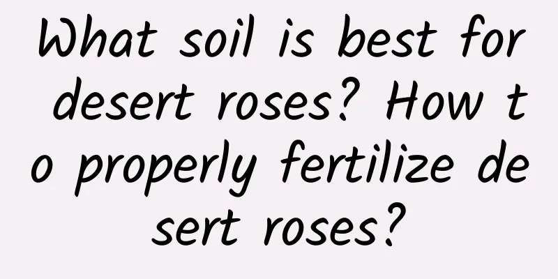 What soil is best for desert roses? How to properly fertilize desert roses?