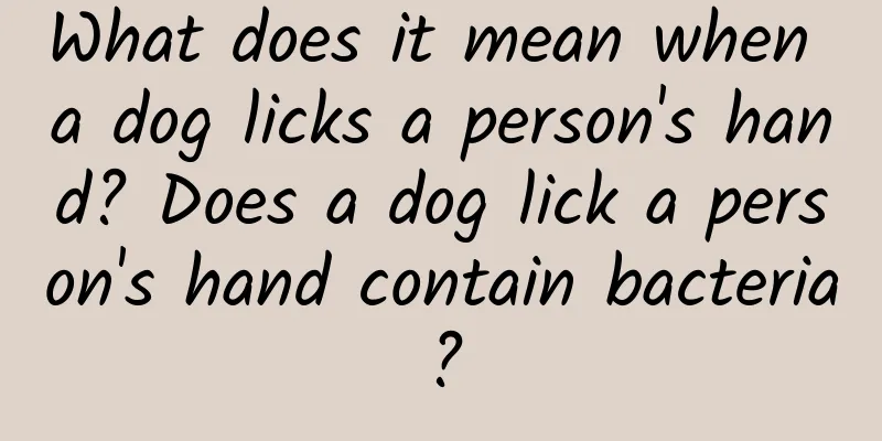 What does it mean when a dog licks a person's hand? Does a dog lick a person's hand contain bacteria?