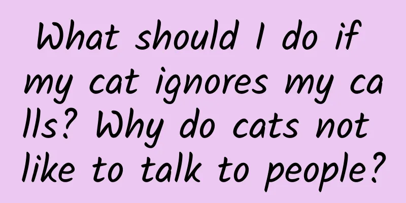 What should I do if my cat ignores my calls? Why do cats not like to talk to people?