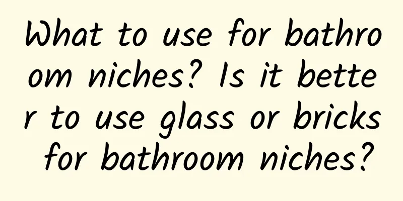 What to use for bathroom niches? Is it better to use glass or bricks for bathroom niches?