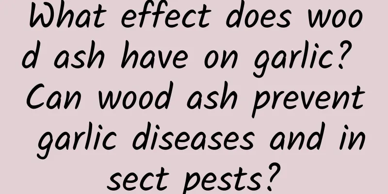What effect does wood ash have on garlic? Can wood ash prevent garlic diseases and insect pests?