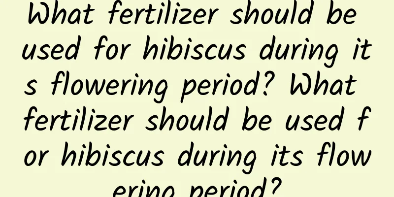 What fertilizer should be used for hibiscus during its flowering period? What fertilizer should be used for hibiscus during its flowering period?