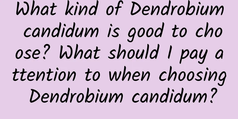 What kind of Dendrobium candidum is good to choose? What should I pay attention to when choosing Dendrobium candidum?