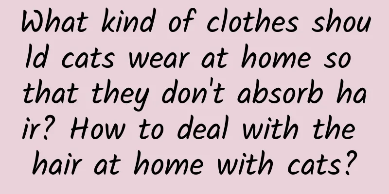 What kind of clothes should cats wear at home so that they don't absorb hair? How to deal with the hair at home with cats?