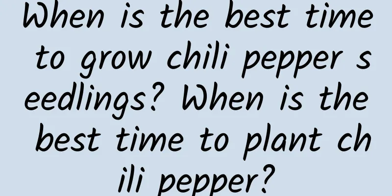 When is the best time to grow chili pepper seedlings? When is the best time to plant chili pepper?