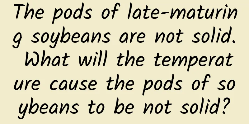 The pods of late-maturing soybeans are not solid. What will the temperature cause the pods of soybeans to be not solid?