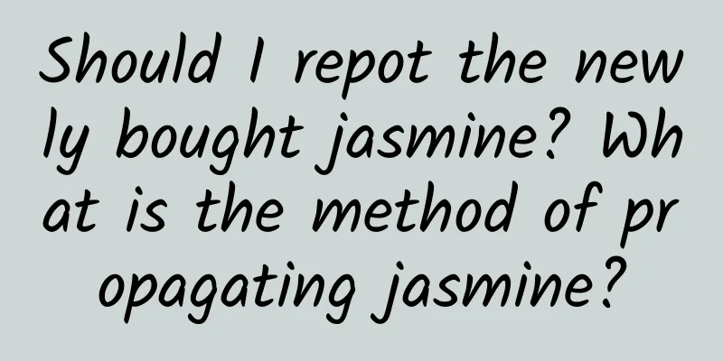 Should I repot the newly bought jasmine? What is the method of propagating jasmine?