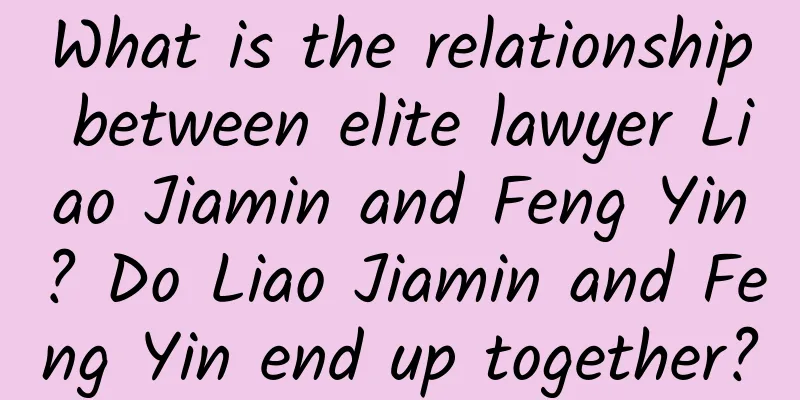 What is the relationship between elite lawyer Liao Jiamin and Feng Yin? Do Liao Jiamin and Feng Yin end up together?