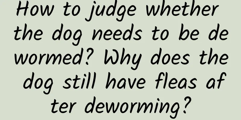 How to judge whether the dog needs to be dewormed? Why does the dog still have fleas after deworming?