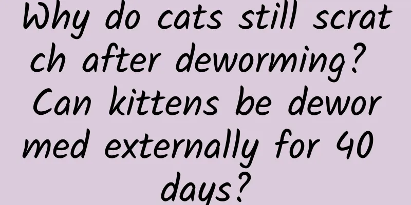 Why do cats still scratch after deworming? Can kittens be dewormed externally for 40 days?
