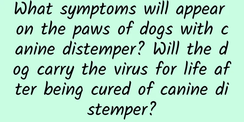 What symptoms will appear on the paws of dogs with canine distemper? Will the dog carry the virus for life after being cured of canine distemper?