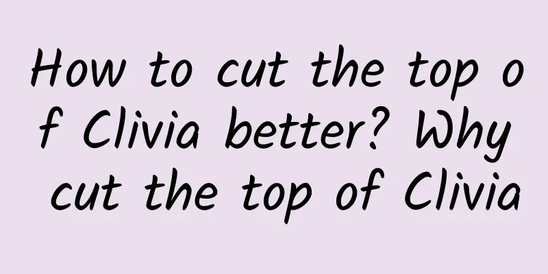 How to cut the top of Clivia better? Why cut the top of Clivia