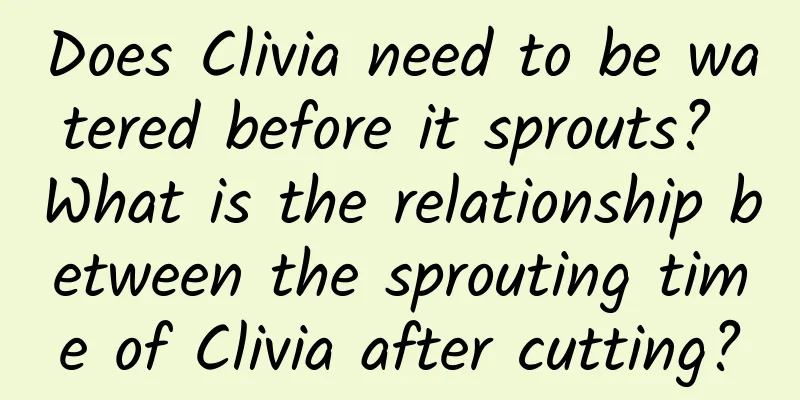 Does Clivia need to be watered before it sprouts? What is the relationship between the sprouting time of Clivia after cutting?