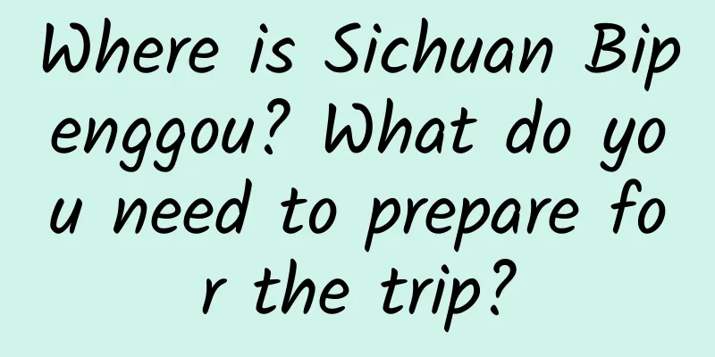 Where is Sichuan Bipenggou? What do you need to prepare for the trip?