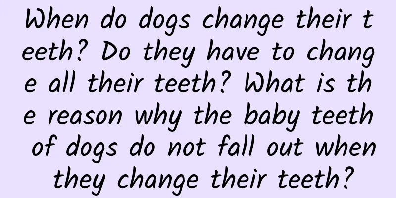 When do dogs change their teeth? Do they have to change all their teeth? What is the reason why the baby teeth of dogs do not fall out when they change their teeth?